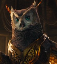 mr owl Meme Template