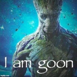 I am goon Meme Template