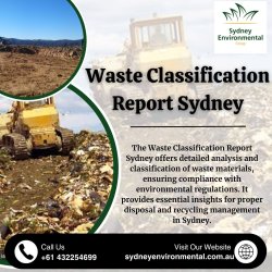 Waste Classification Report Sydney Meme Template