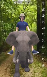 Elephant Meme Template