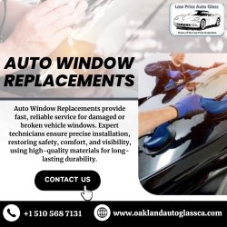 Auto Window Replacements Meme Template
