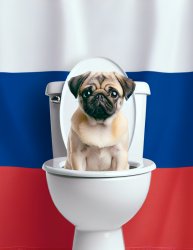 pug in toilet, russia flag Meme Template