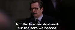 Not the hero we deserved but the hero we needed Meme Template