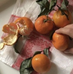 Oranges. Meme Template