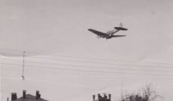 fly Meme Template
