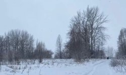 Winter. Meme Template