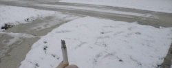 Snow. Meme Template