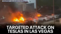 Tesla Riots Meme Template