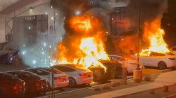 Tesla riots Meme Template