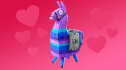 Love lama Meme Template