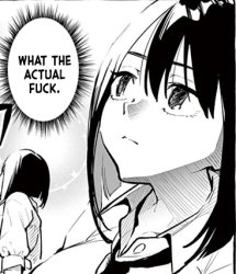 What the actual fuck Meme Template