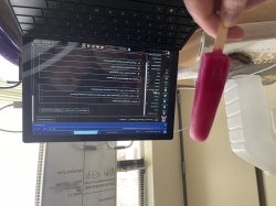 Popsicle Meme Template