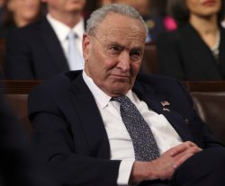 Chuck Schumer Meme Template
