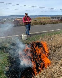 Burning grass Meme Template