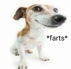 farting dog Meme Template