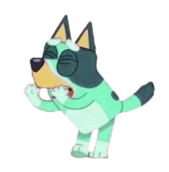 Kkuity Nyltick Meme Template