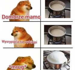Pilnuj mleka bo wykipi Meme Template