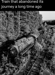 Train Meme Template