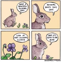 What a beuy Day Meme Template