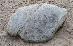 Plymouth Rock Meme Template
