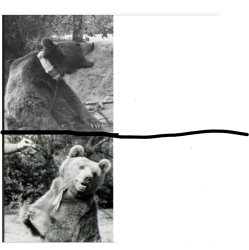 Wojtek Drake Meme Meme Template