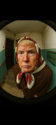 Funny Babushka Trump Meme Template