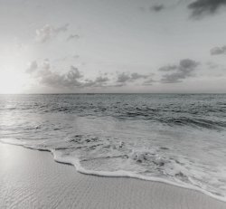 Beach. Meme Template