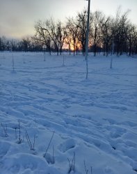 Field. Meme Template