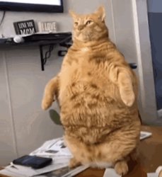 Goob Meme Template