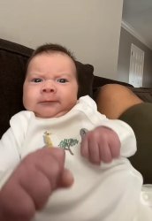 angry bebe Meme Template