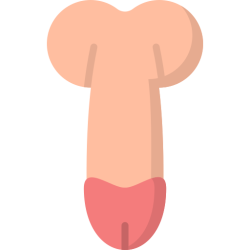 penis Meme Template