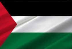 PALESTINIAN FLAG Meme Template