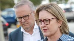 Albo Allen Meme Template