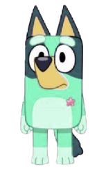 Kkuity Nyltick Meme Template