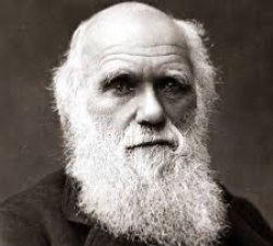 Charles Darwin Meme Template