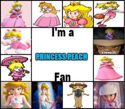 i'm a princess peach fan Meme Template