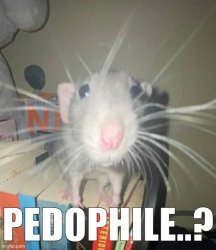 Pedophile..? Meme Template