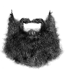 Beard Meme Template
