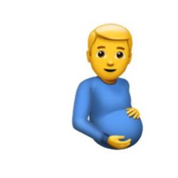 man pregnant Meme Template