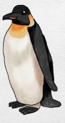 Penguin Meme Template