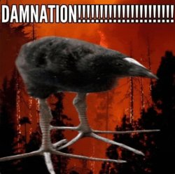 damnation!!!! Meme Template