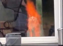 Cat on fire Meme Template