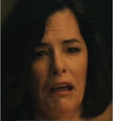PIPER NOOOO Meme Template