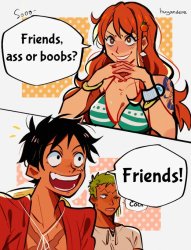 nami asks Meme Template