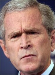 GW Bush Meme Template