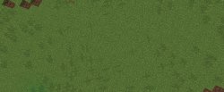grass Meme Template