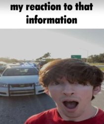 my reaction to that information Meme Template