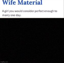 Wife Material Meme Template