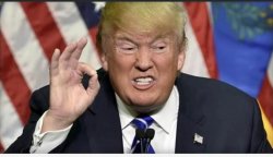 Trump perfect Meme Template