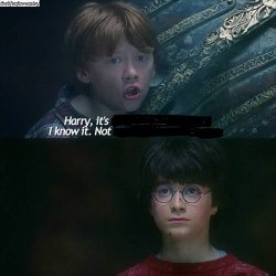 Not me, Not Hermione, You Meme Template